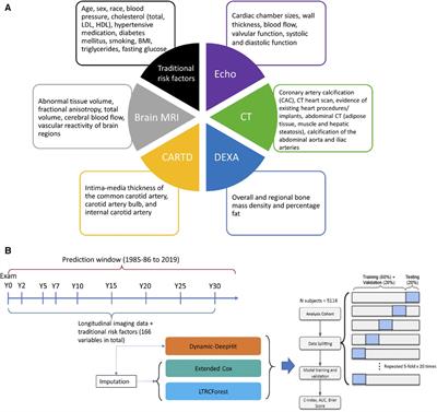 Utility of multimodal longitudinal imaging data for dynamic prediction of cardiovascular and renal disease: the CARDIA study